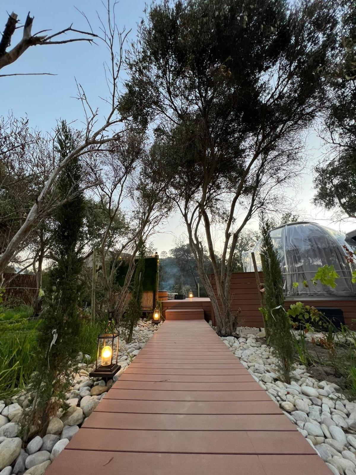 The Vino Dome By Once Upon A Dome Franschhoek Exterior photo